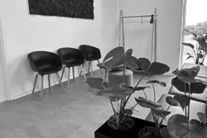 Minimalistisk venteværelse i en lægeklinik med sorte stole og en stor grøn plante.
